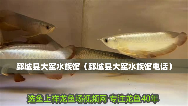 鄆城縣大軍水族館（鄆城縣大軍水族館電話）