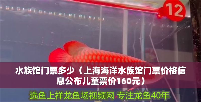水族館門票多少（上海海洋水族館門票價格信息公布兒童票價160元） 水族館門票多少（上海海洋水族館門票價格信息公布兒童票價160元） 水族館百科（水族館加盟） 第1張