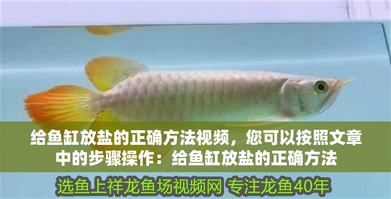 給魚缸放鹽的正確方法視頻，您可以按照文章中的步驟操作：給魚缸放鹽的正確方法
