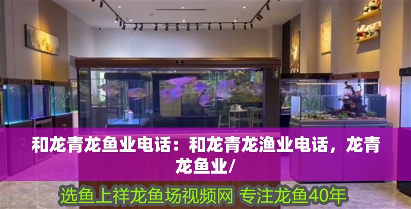 和龍青龍魚業電話：和龍青龍漁業電話，龍青龍魚業/