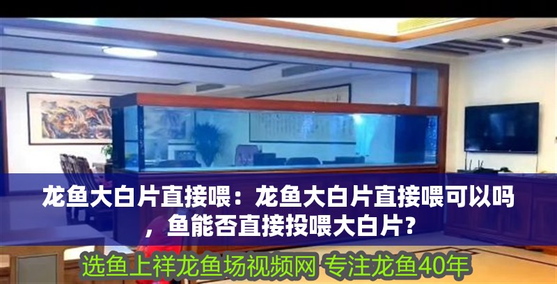 龍魚大白片直接喂：龍魚大白片直接喂可以嗎，魚能否直接投喂大白片？