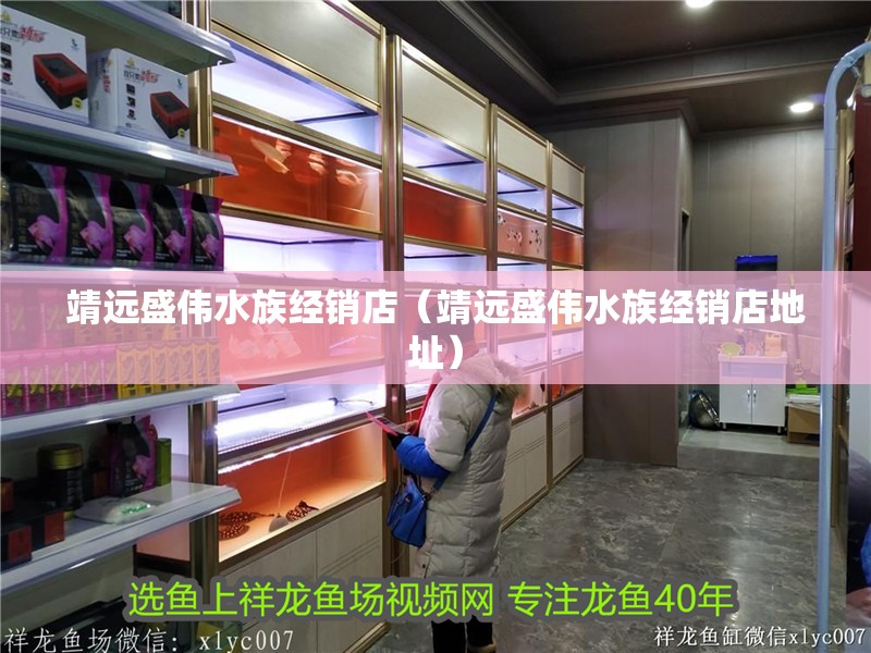 靖遠盛偉水族經銷店（靖遠盛偉水族經銷店地址）