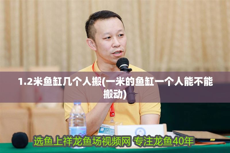1.2米魚缸幾個人搬(一米的魚缸一個人能不能搬動)