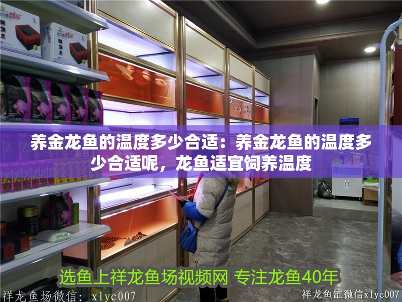 養金龍魚的溫度多少合適：養金龍魚的溫度多少合適呢，龍魚適宜飼養溫度