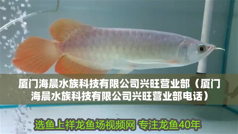 廈門海晨水族科技有限公司興旺營(yíng)業(yè)部(廈門海晨水族科技有限公司興旺營(yíng)業(yè)部電話) 全國(guó)水族館企業(yè)名錄 第2張 廈門海晨水族科技有限公司興旺營(yíng)業(yè)部(廈門海晨水族科技有限公司興旺營(yíng)業(yè)部電話) 廈門海晨水族科技有限公司興旺營(yíng)業(yè)部(廈門海晨水族科技有限公司興旺營(yíng)業(yè)部電話) 全國(guó)水族館企業(yè)名錄 第2張