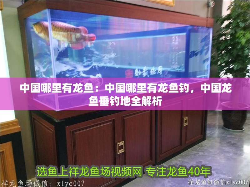 中國哪里有龍魚：中國哪里有龍魚釣，中國龍魚垂釣地全解析