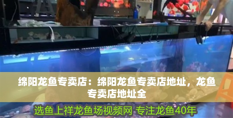 綿陽龍魚專賣店：綿陽龍魚專賣店地址，龍魚專賣店地址全