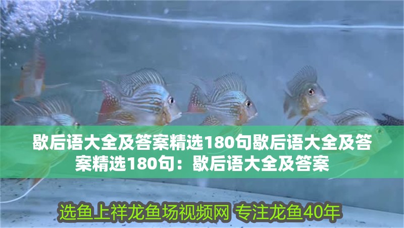 歇后語(yǔ)大全及答案精選180句歇后語(yǔ)大全及答案精選180句：歇后語(yǔ)大全及答案 歇后語(yǔ)大全及答案精選180句歇后語(yǔ)大全及答案精選180句：歇后語(yǔ)大全及答案 魚缸百科