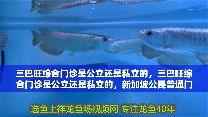 三巴旺綜合門診是公立還是私立的，三巴旺綜合門診是公立還是私立的，新加坡公民普通門診僅需12新元