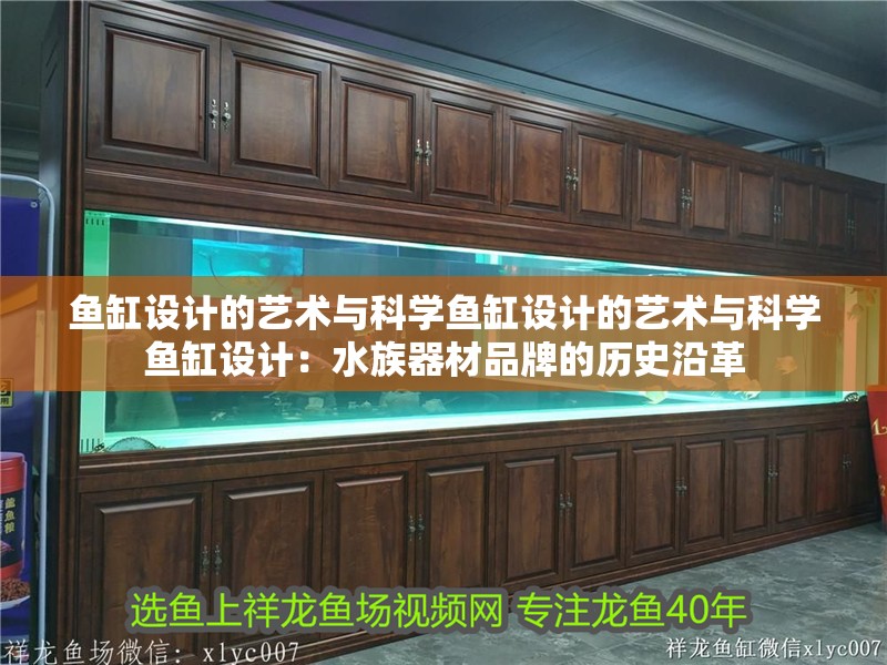 魚缸設(shè)計(jì)的藝術(shù)與科學(xué)魚缸設(shè)計(jì)的藝術(shù)與科學(xué)魚缸設(shè)計(jì)：水族器材品牌的歷史沿革