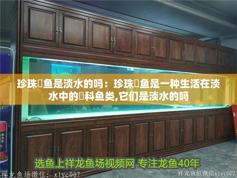 珍珠魟魚是淡水的嗎：珍珠魟魚是一種生活在淡水中的魟科魚類,它們是淡水的嗎