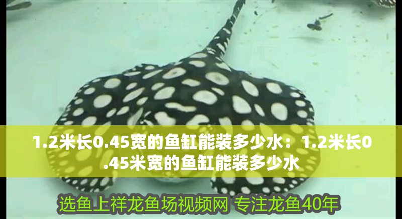 1.2米長0.45寬的魚缸能裝多少水：1.2米長0.45米寬的魚缸能裝多少水 1.2米長0.45寬的魚缸能裝多少水：1.2米長0.45米寬的魚缸能裝多少水 魚缸百科