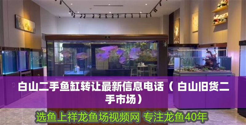 白山二手魚缸轉(zhuǎn)讓最新信息電話（ 白山舊貨二手市場）