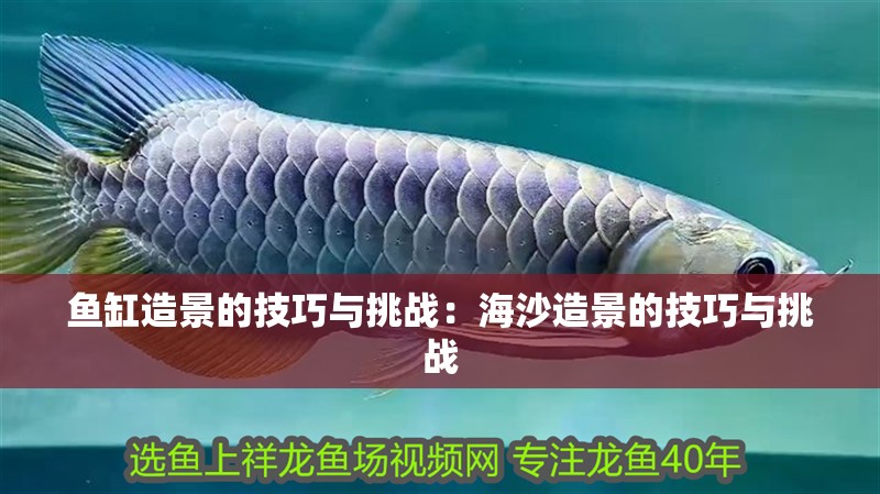 魚缸造景的技巧與挑戰：海沙造景的技巧與挑戰
