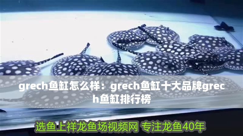 grech魚缸怎么樣：grech魚缸十大品牌grech魚缸排行榜