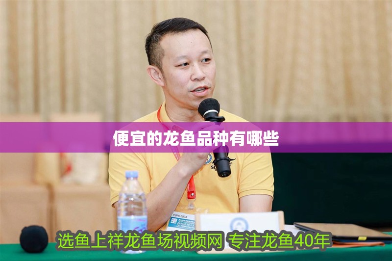 便宜的龍魚品種有哪些