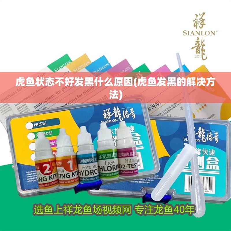 虎魚狀態不好發黑什么原因(虎魚發黑的解決方法)