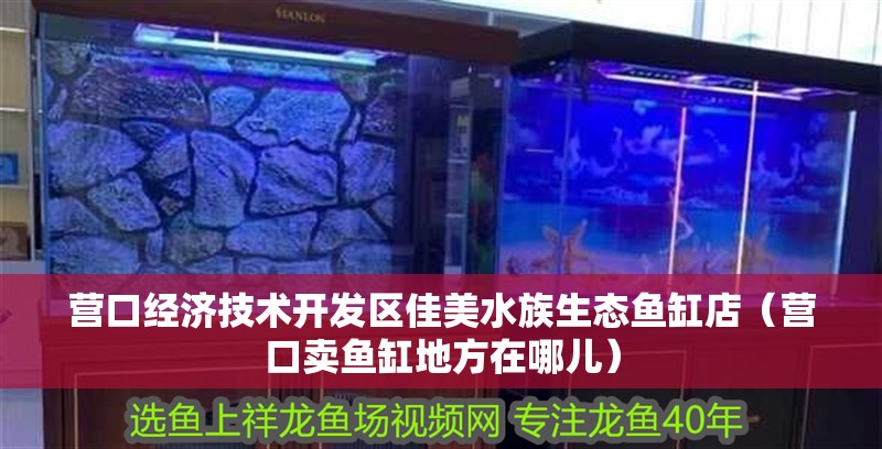 營口經濟技術開發區佳美水族生態魚缸店（營口賣魚缸地方在哪兒）
