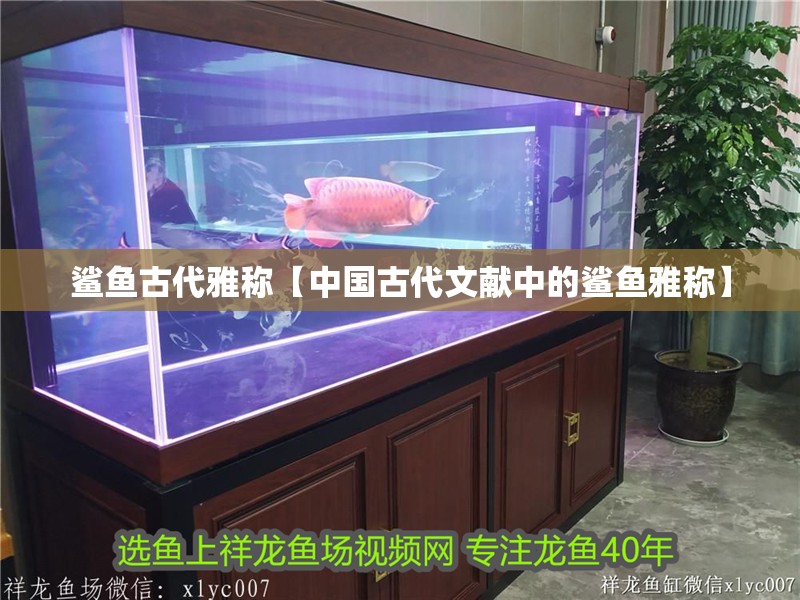 鯊魚(yú)古代雅稱(chēng)【中國(guó)古代文獻(xiàn)中的鯊魚(yú)雅稱(chēng)】