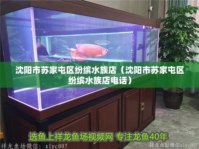沈陽市蘇家屯區紛繽水族店（沈陽市蘇家屯區紛繽水族店電話） 沈陽市蘇家屯區紛繽水族店（沈陽市蘇家屯區紛繽水族店電話） 全國水族館企業名錄 第2張