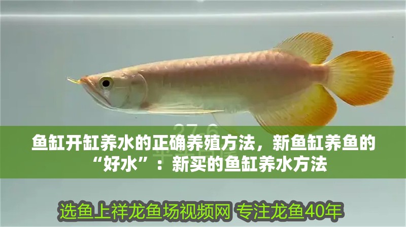 魚缸開缸養(yǎng)水的正確養(yǎng)殖方法，新魚缸養(yǎng)魚的“好水”：新買的魚缸養(yǎng)水方法 魚缸開缸養(yǎng)水的正確養(yǎng)殖方法，新魚缸養(yǎng)魚的“好水”：新買的魚缸養(yǎng)水方法 魚缸百科