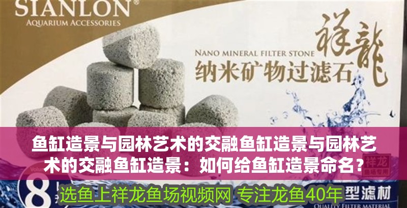 魚缸造景與園林藝術(shù)的交融魚缸造景與園林藝術(shù)的交融魚缸造景：如何給魚缸造景命名？