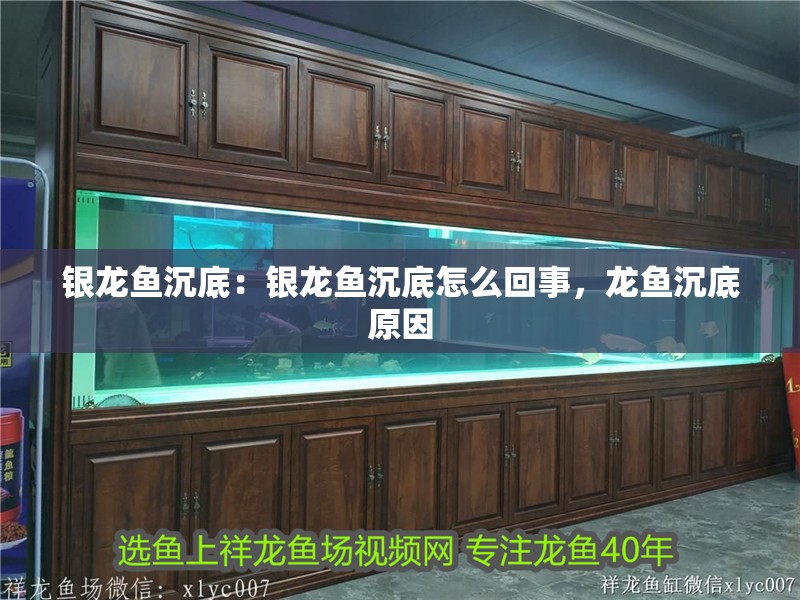 銀龍魚(yú)沉底：銀龍魚(yú)沉底怎么回事，龍魚(yú)沉底原因