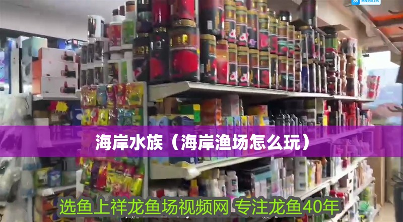 海岸水族（海岸漁場怎么玩）