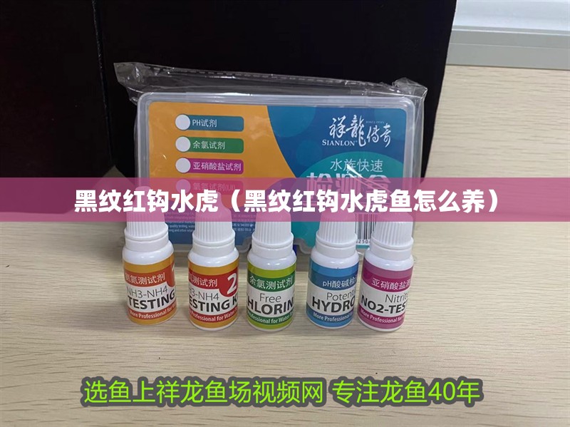 魚缸用增氧泵價格是多少:魚缸增氧機-xtrac增氧機-xtrac增氧機 黑紋紅鉤水虎(黑紋紅鉤水虎魚怎么養) 虎魚百科 黑紋紅鉤水虎(黑紋紅鉤水虎魚怎么養) 黑紋紅鉤水虎(黑紋紅鉤水虎魚怎么養) 虎魚百科
