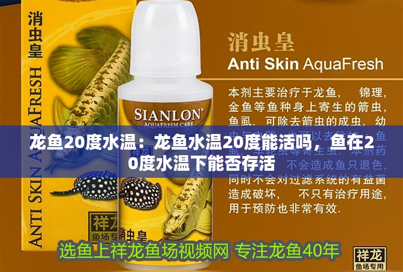 龍魚20度水溫：龍魚水溫20度能活嗎，魚在20度水溫下能否存活