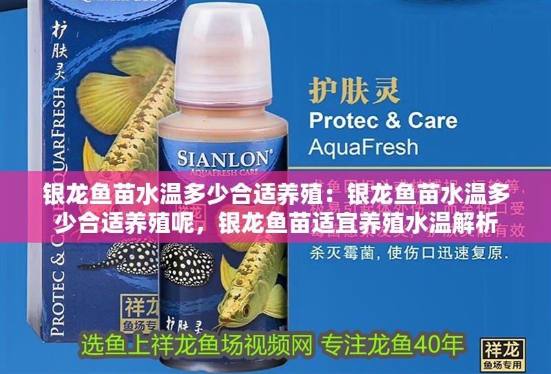 銀龍魚苗水溫多少合適養(yǎng)殖：銀龍魚苗水溫多少合適養(yǎng)殖呢，銀龍魚苗適宜養(yǎng)殖水溫解析
