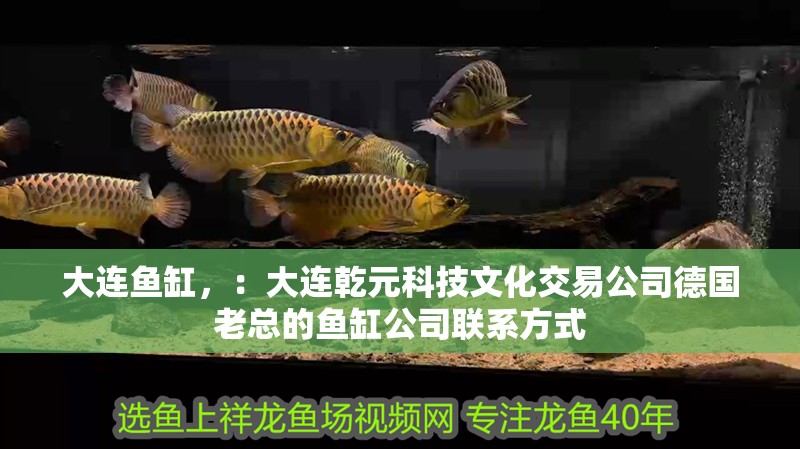 大連魚缸，：大連乾元科技文化交易公司德國老總的魚缸公司聯系方式