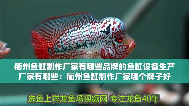 衢州魚缸制作廠家有哪些品牌的魚缸設備生產廠家有哪些：衢州魚缸制作廠家哪個牌子好