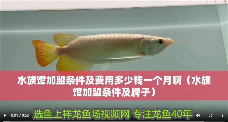 水族館加盟條件及費用多少錢一個月啊（水族館加盟條件及牌子）