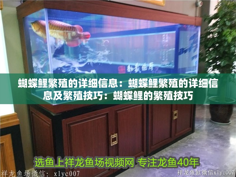 蝴蝶鯉繁殖的詳細信息：蝴蝶鯉繁殖的詳細信息及繁殖技巧：蝴蝶鯉的繁殖技巧