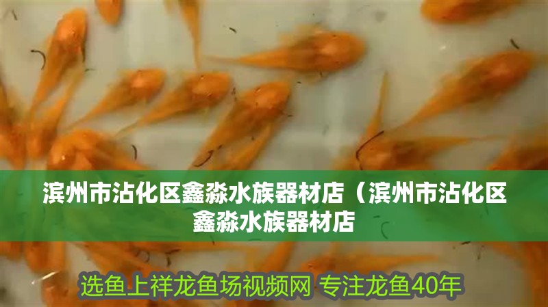 濱州市沾化區(qū)鑫淼水族器材店（濱州市沾化區(qū)鑫淼水族器材店