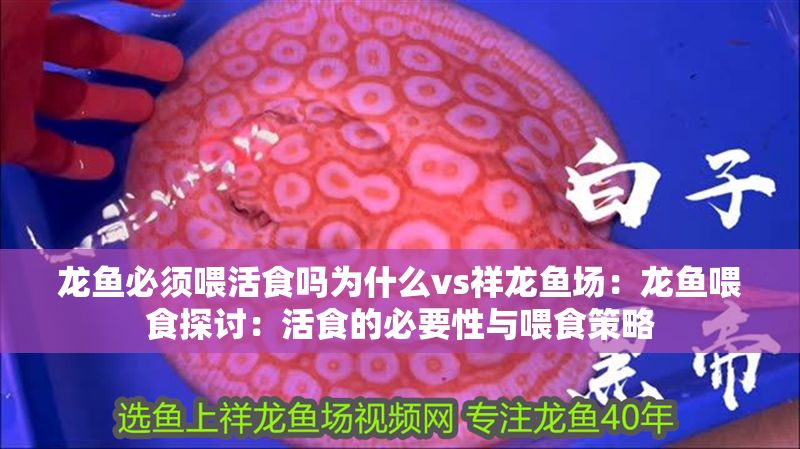 龍魚必須喂活食嗎為什么vs祥龍魚場：龍魚喂食探討：活食的必要性與喂食策略