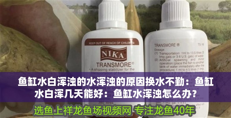 魚缸水白渾濁的水渾濁的原因換水不勤：魚缸水白渾幾天能好：魚缸水渾濁怎么辦？