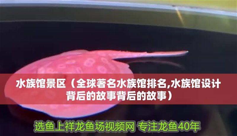 水族館景區(qū)（全球著名水族館排名,水族館設(shè)計(jì)背后的故事背后的故事）