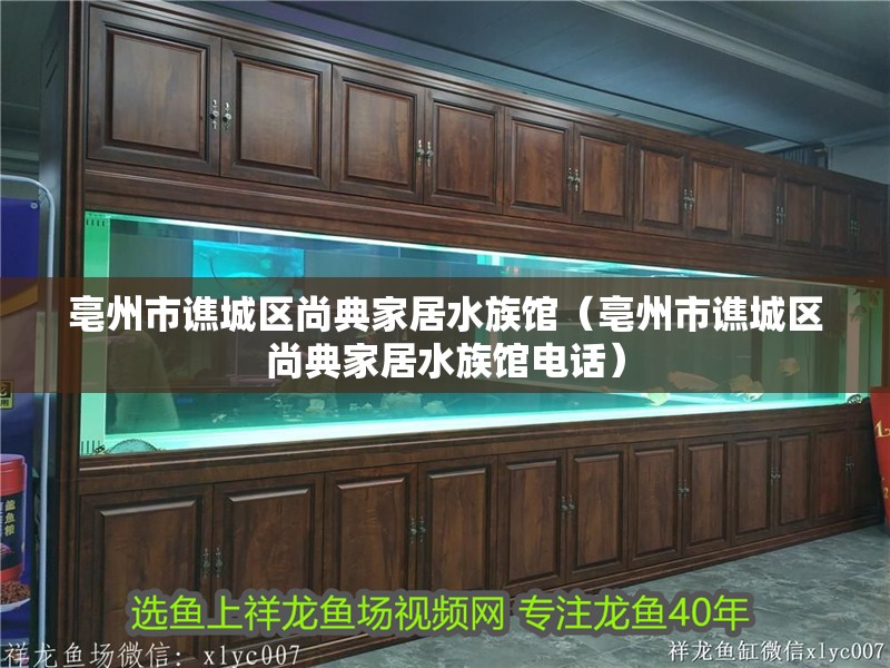 亳州市譙城區尚典家居水族館（亳州市譙城區尚典家居水族館電話）