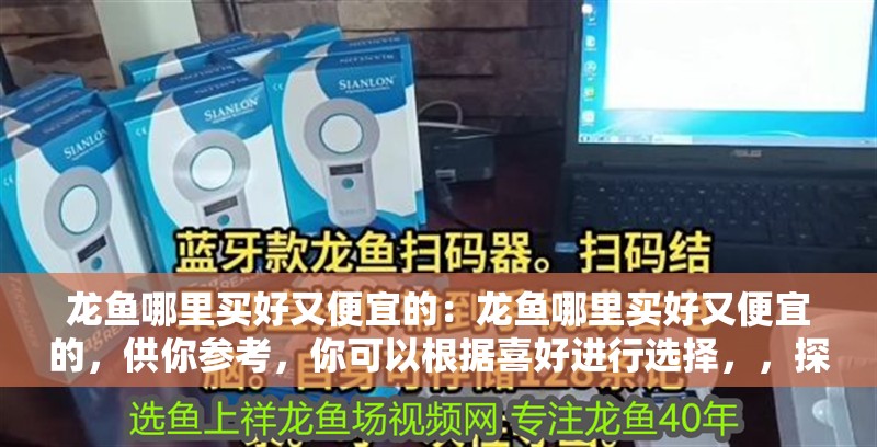 龍魚哪里買好又便宜的：龍魚哪里買好又便宜的，供你參考，你可以根據喜好進行選擇，，探尋龍魚高性價比購買地，哪里買好又便宜？，解鎖龍魚實惠之選，究竟哪里買好又便宜？，龍魚選購指南，何處能以低價買到優質好魚？