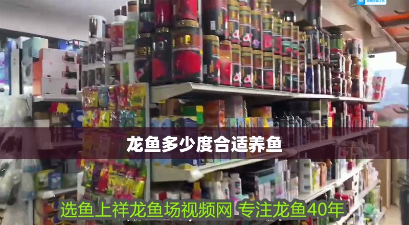 龍魚多少度合適養魚