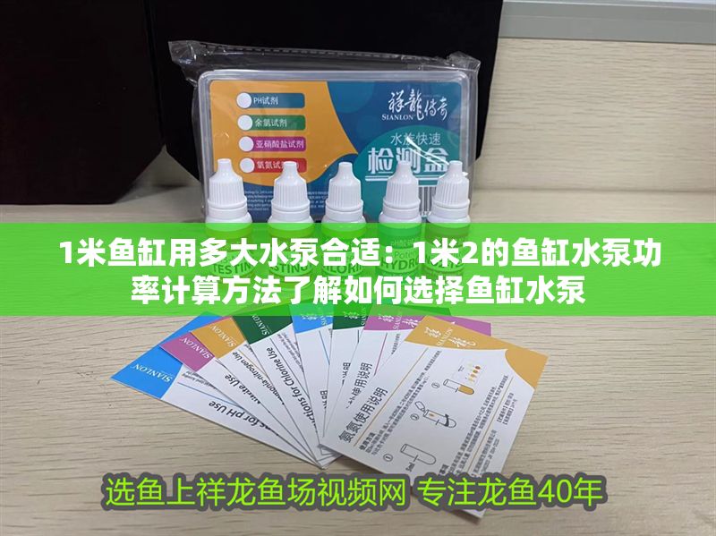 1米魚缸用多大水泵合適：1米2的魚缸水泵功率計算方法了解如何選擇魚缸水泵 1米魚缸用多大水泵合適：1米2的魚缸水泵功率計算方法了解如何選擇魚缸水泵 魚缸百科 第2張