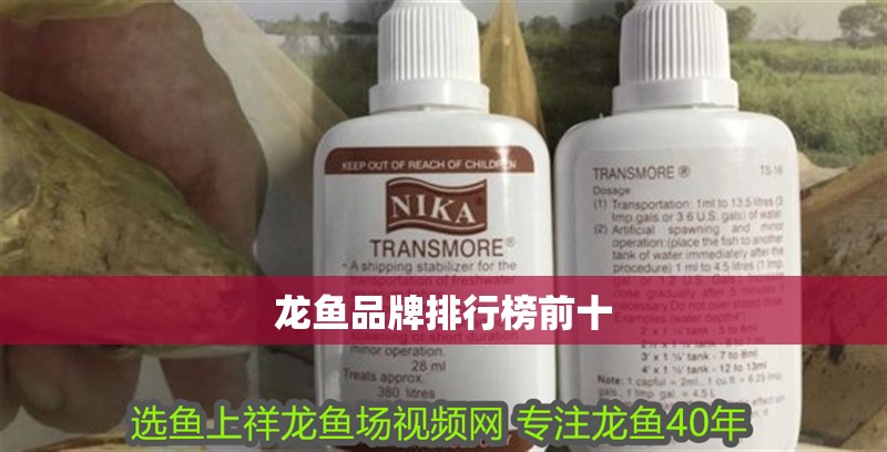 龍魚品牌排行榜前十