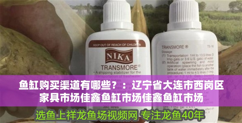 魚缸購買渠道有哪些？：遼寧省大連市西崗區家具市場佳鑫魚缸市場佳鑫魚缸市場