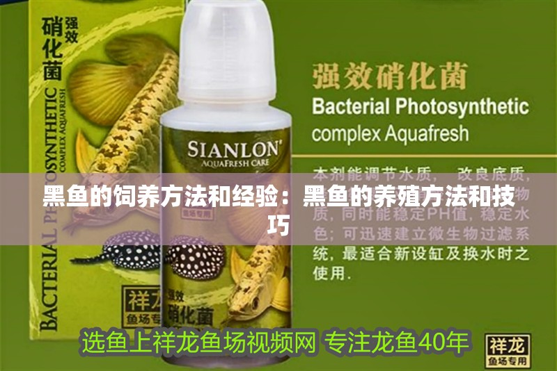 黑魚的飼養(yǎng)方法和經(jīng)驗：黑魚的養(yǎng)殖方法和技巧