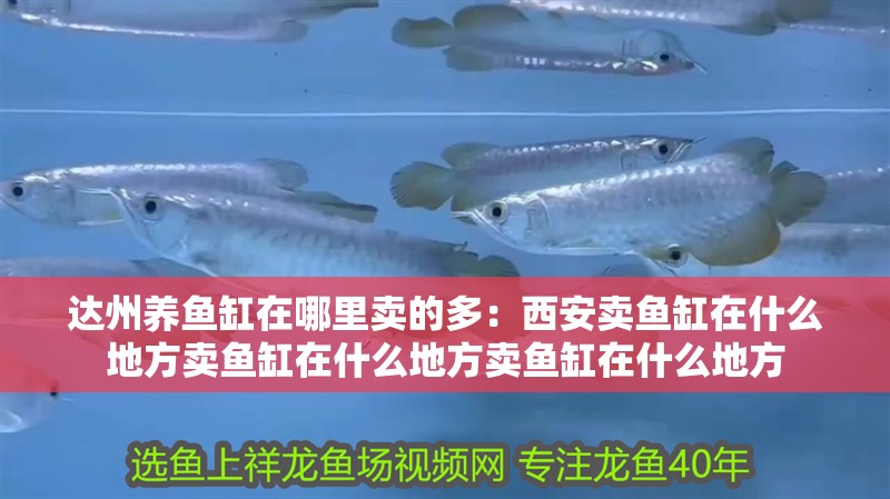 達州養魚缸在哪里賣的多：西安賣魚缸在什么地方賣魚缸在什么地方賣魚缸在什么地方