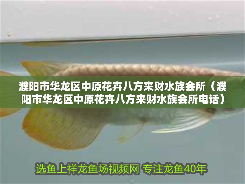 濮陽市華龍區中原花卉八方來財水族會所（濮陽市華龍區中原花卉八方來財水族會所電話）