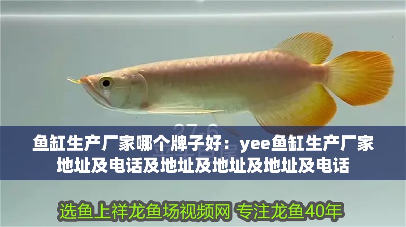 魚缸生產廠家哪個牌子好：yee魚缸生產廠家地址及電話及地址及地址及地址及電話