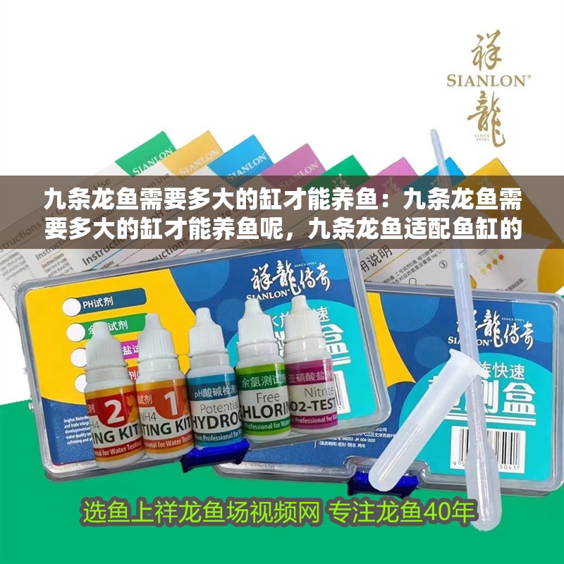九條龍魚需要多大的缸才能養魚：九條龍魚需要多大的缸才能養魚呢，九條龍魚適配魚缸的合理尺寸 九條龍魚需要多大的缸才能養魚：九條龍魚需要多大的缸才能養魚呢，九條龍魚適配魚缸的合理尺寸 水族問答